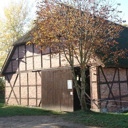 PoseritzReiterhof Gross Stubbenアパートメント エクステリア 写真